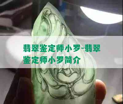 翡翠鉴定师小罗-翡翠鉴定师小罗简介