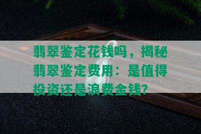 翡翠鉴定花钱吗，揭秘翡翠鉴定费用：是值得投资还是浪费金钱？