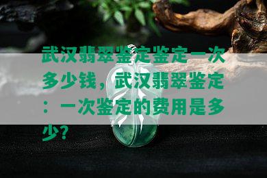 武汉翡翠鉴定鉴定一次多少钱，武汉翡翠鉴定：一次鉴定的费用是多少？