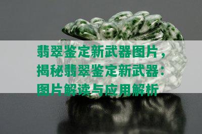 翡翠鉴定新武器图片，揭秘翡翠鉴定新武器：图片解读与应用解析