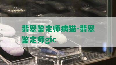 翡翠鉴定师病猫-翡翠鉴定师gic