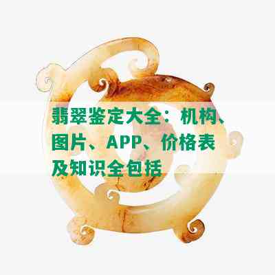 翡翠鉴定大全：机构、图片、APP、价格表及知识全包括