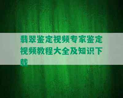 翡翠鉴定视频专家鉴定视频教程大全及知识下载