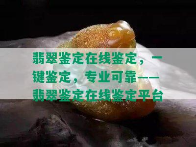 翡翠鉴定在线鉴定，一键鉴定，专业可靠——翡翠鉴定在线鉴定平台