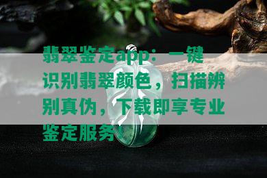 翡翠鉴定app：一键识别翡翠颜色，扫描辨别真伪，下载即享专业鉴定服务！