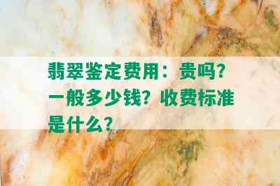 翡翠鉴定费用：贵吗？一般多少钱？收费标准是什么？