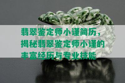 翡翠鉴定师小谨简历，揭秘翡翠鉴定师小谨的丰富经历与专业技能