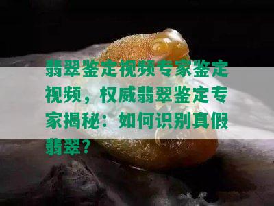 翡翠鉴定视频专家鉴定视频，权威翡翠鉴定专家揭秘：如何识别真假翡翠？