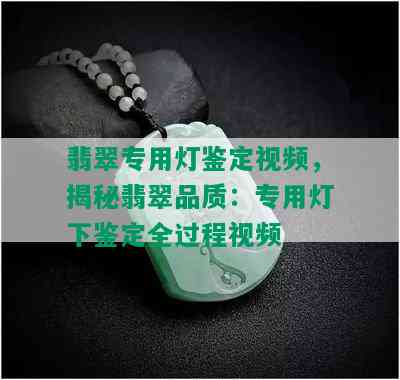 翡翠专用灯鉴定视频，揭秘翡翠品质：专用灯下鉴定全过程视频