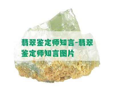 翡翠鉴定师知言-翡翠鉴定师知言图片