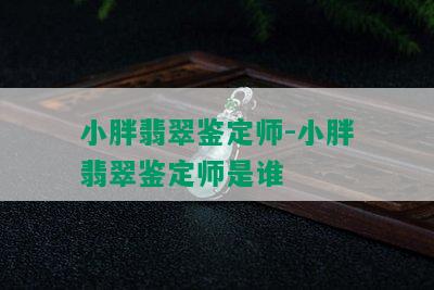 小胖翡翠鉴定师-小胖翡翠鉴定师是谁