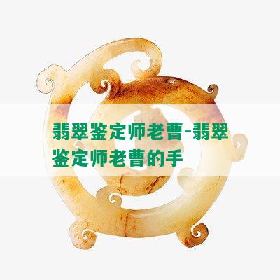 翡翠鉴定师老曹-翡翠鉴定师老曹的手