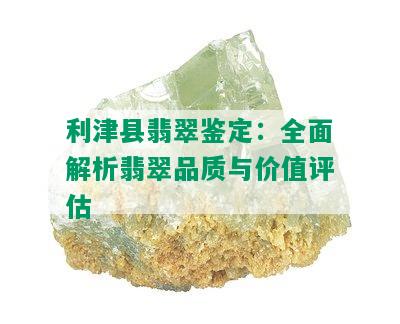 利津县翡翠鉴定：全面解析翡翠品质与价值评估