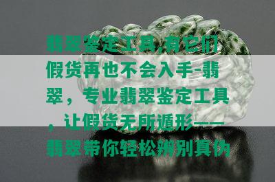 翡翠鉴定工具,有它们假货再也不会入手-翡翠，专业翡翠鉴定工具，让假货无所遁形——翡翠带你轻松辨别真伪