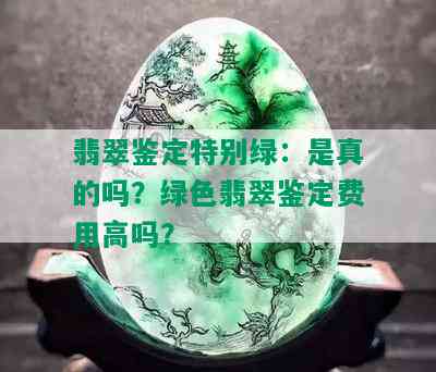 翡翠鉴定特别绿：是真的吗？绿色翡翠鉴定费用高吗？