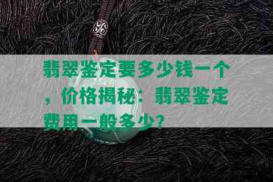 翡翠鉴定要多少钱一个，价格揭秘：翡翠鉴定费用一般多少？