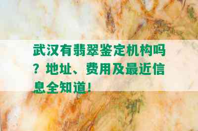 武汉有翡翠鉴定机构吗？地址、费用及最近信息全知道！