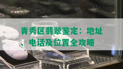 青秀区翡翠鉴定：地址、电话及位置全攻略