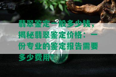 翡翠鉴定一般多少钱，揭秘翡翠鉴定价格：一份专业的鉴定报告需要多少费用？