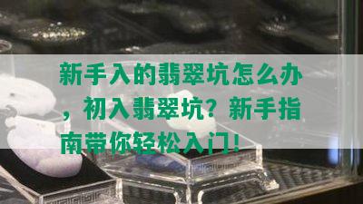 新手入的翡翠坑怎么办，初入翡翠坑？新手指南带你轻松入门！