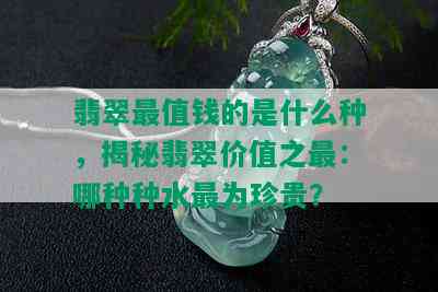 翡翠最值钱的是什么种，揭秘翡翠价值之最：哪种种水最为珍贵？