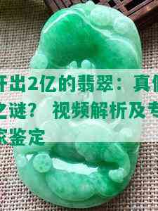 开出2亿的翡翠：真假之谜？ 视频解析及专家鉴定