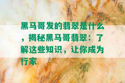 黑马哥发的翡翠是什么，揭秘黑马哥翡翠：了解这些知识，让你成为行家