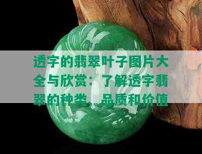 透字的翡翠叶子图片大全与欣赏：了解透字翡翠的种类、品质和价值