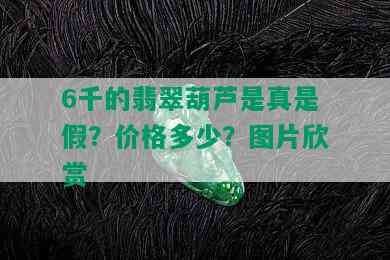 6千的翡翠葫芦是真是假？价格多少？图片欣赏