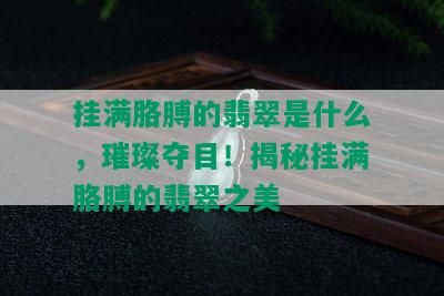 挂满胳膊的翡翠是什么，璀璨夺目！揭秘挂满胳膊的翡翠之美