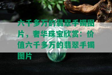 六千多万的翡翠手镯图片，奢华珠宝欣赏：价值六千多万的翡翠手镯图片