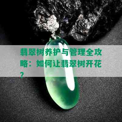 翡翠树养护与管理全攻略：如何让翡翠树开花？