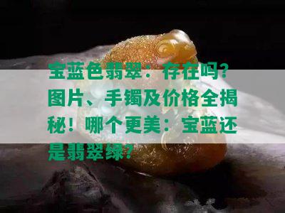 宝蓝色翡翠：存在吗？图片、手镯及价格全揭秘！哪个更美：宝蓝还是翡翠绿？