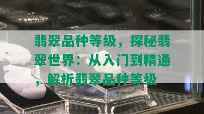 翡翠品种等级，探秘翡翠世界：从入门到精通，解析翡翠品种等级