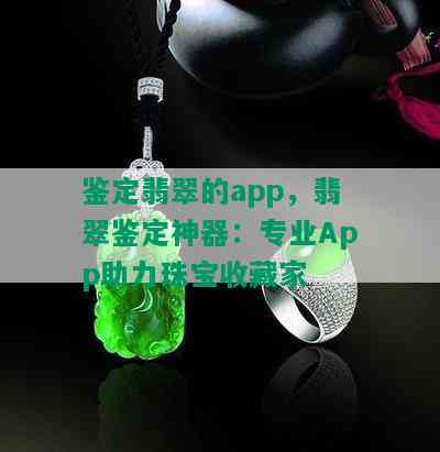 鉴定翡翠的app，翡翠鉴定神器：专业App助力珠宝收藏家