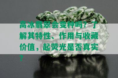 高冰翡翠会变种吗？了解其特性、作用与收藏价值，起荧光是否真实？