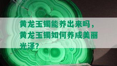 黄龙玉镯能养出来吗，黄龙玉镯如何养成美丽光泽？