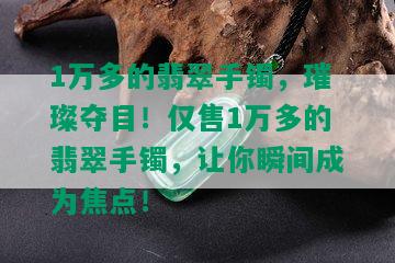 1万多的翡翠手镯，璀璨夺目！仅售1万多的翡翠手镯，让你瞬间成为焦点！