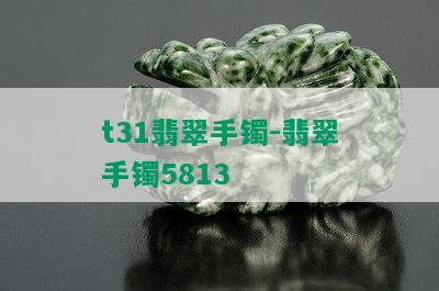 t31翡翠手镯-翡翠手镯5813