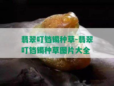 翡翠叮铛镯种草-翡翠叮铛镯种草图片大全