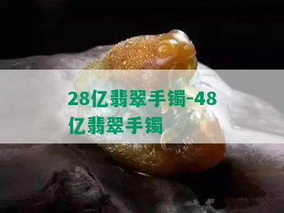 28亿翡翠手镯-48亿翡翠手镯