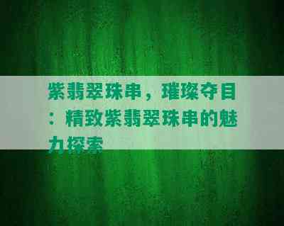 紫翡翠珠串，璀璨夺目：精致紫翡翠珠串的魅力探索