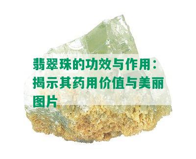 翡翠珠的功效与作用：揭示其药用价值与美丽图片