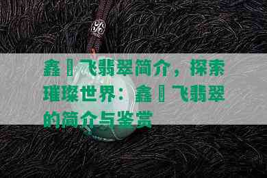 鑫劦飞翡翠简介，探索璀璨世界：鑫劦飞翡翠的简介与鉴赏