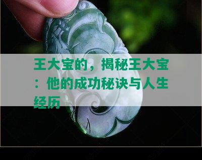 王大宝的，揭秘王大宝：他的成功秘诀与人生经历