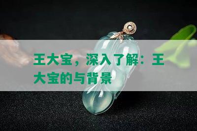 王大宝，深入了解：王大宝的与背景