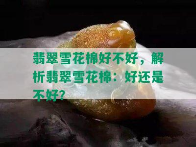 翡翠雪花棉好不好，解析翡翠雪花棉：好还是不好？