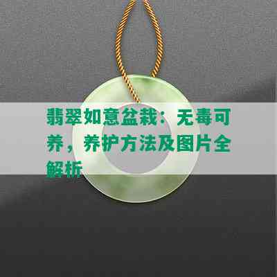 翡翠如意盆栽：无可养，养护方法及图片全解析