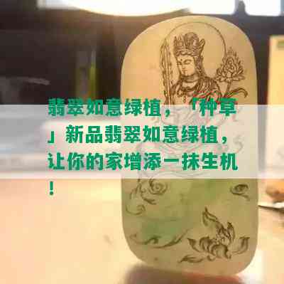 翡翠如意绿植，「种草」新品翡翠如意绿植，让你的家增添一抹生机！