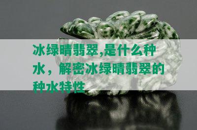 冰绿晴翡翠,是什么种水，解密冰绿晴翡翠的种水特性